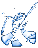 Muddy Waters